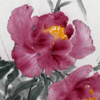 Peony